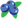 ブルーベリー